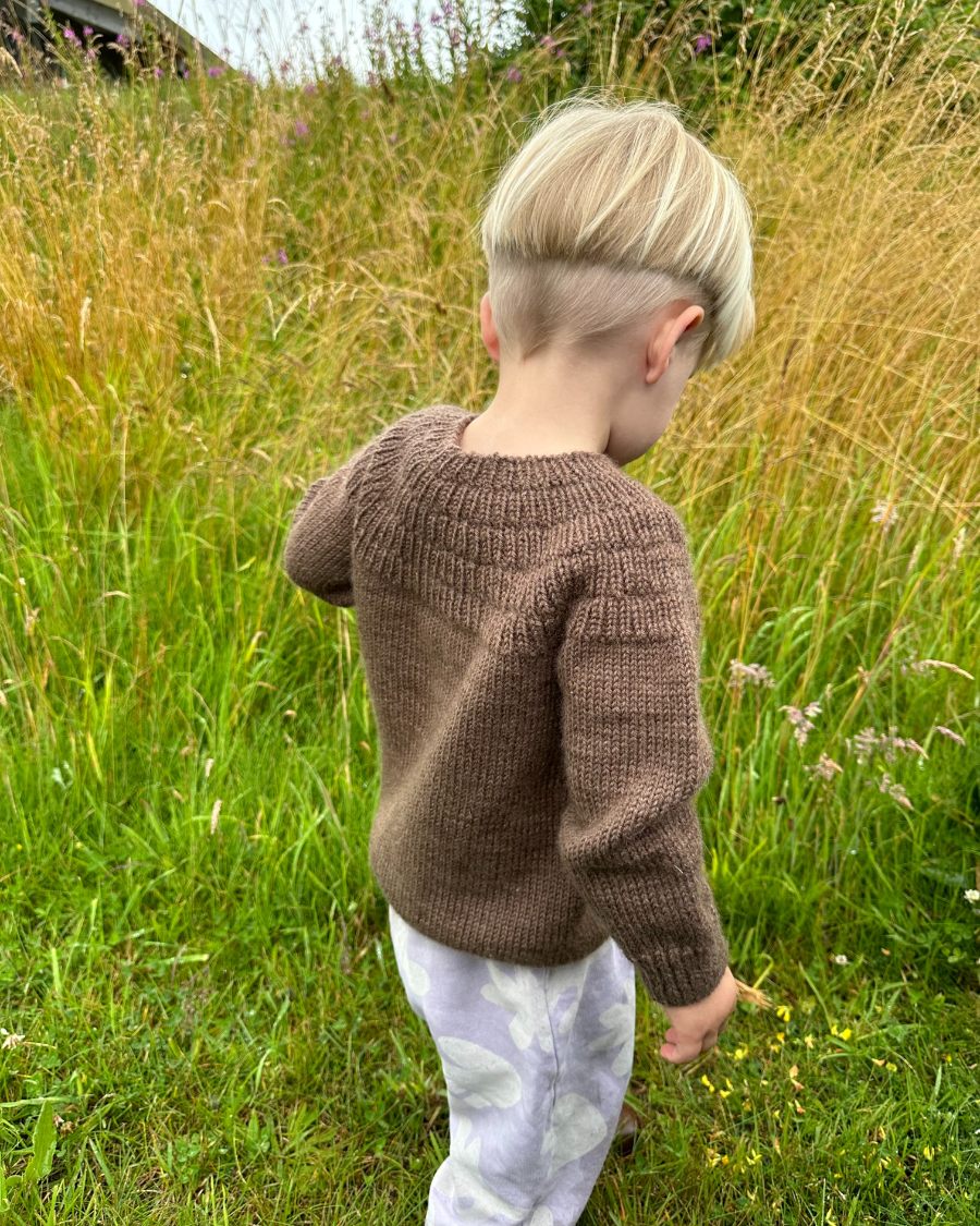 Ankers Pullover Anleitung - PetiteKnit