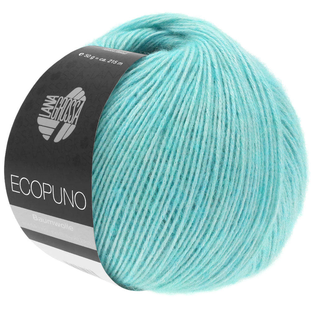 Ecopuno