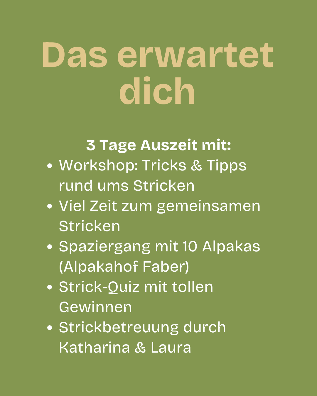 Lauras Strickwochenende im Bergischen 23.-25. Oktober 2026