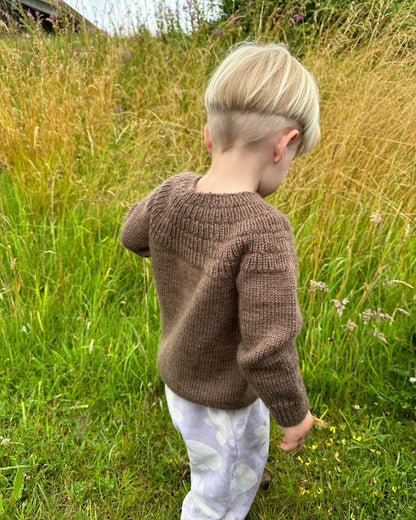 Ankers Pullover Anleitung - PetiteKnit