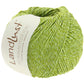 050 - Limette