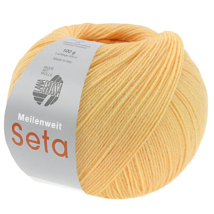 MW 100 Seta